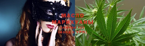 индика Киреевск