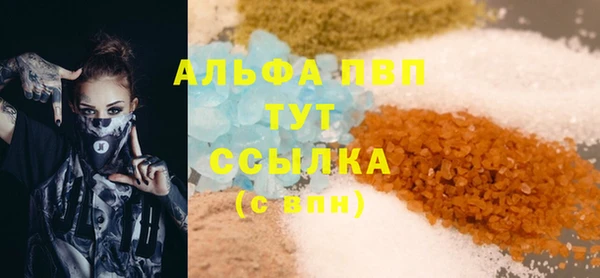 индика Киреевск