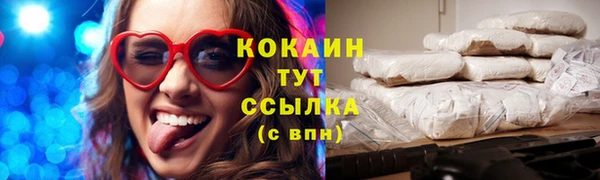 индика Киреевск
