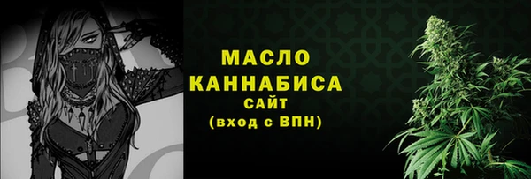 индика Киреевск