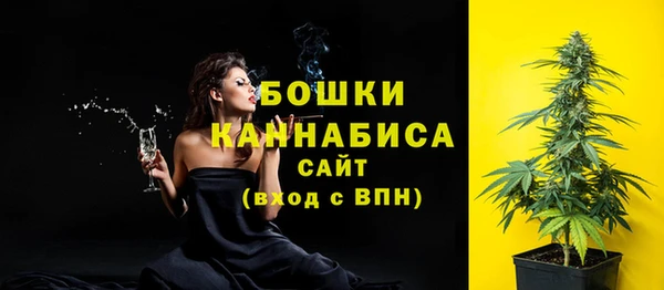 индика Киреевск