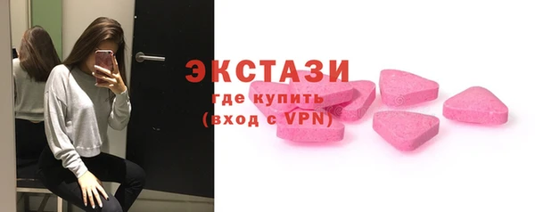 индика Киреевск