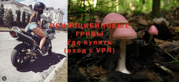 ALPHA PVP Кинешма
