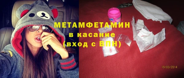 индика Киреевск