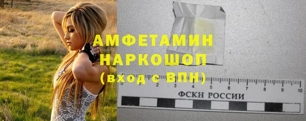 индика Киреевск