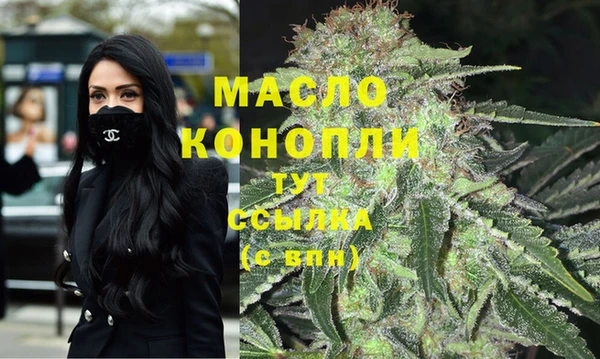 индика Киреевск