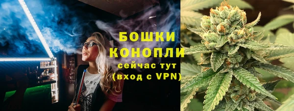 индика Киреевск