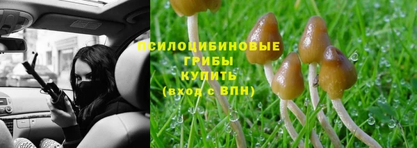индика Киреевск