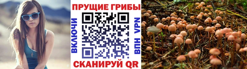 Купить где  Балашиха  Псилоцибиновые грибы Magic Shrooms 